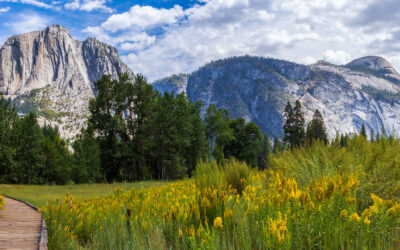 Yosemite National Park- The Perfect Family Getaway