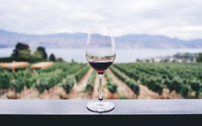 Sip, Swirl, and Savor: How to Make the Most of a Wine Tasting