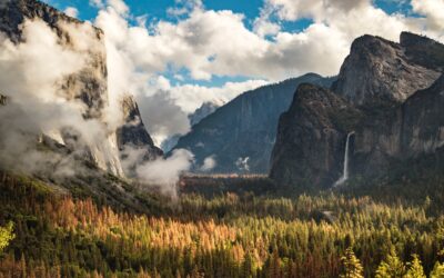 Yosemite in a Day: Hike, Bike, & Explore the Valley!